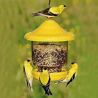 Mangeoire Clingers only Jaune