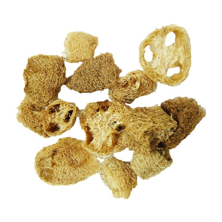 Luffa Naturel 2-4'' 6 Unitées