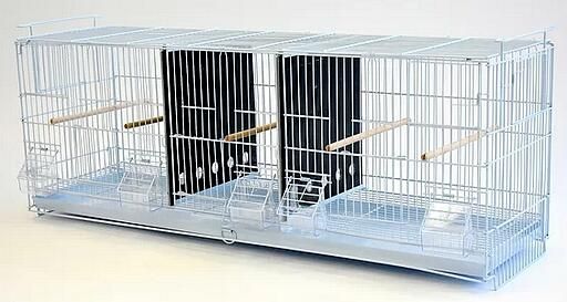 Cage d'élevage Triple 38x11x15''