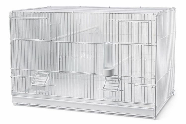 Cage d'Élevage Italienne 60cm(24'')
