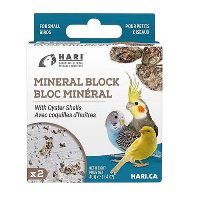 Bloc Minéral Avec Coquille D'huitres