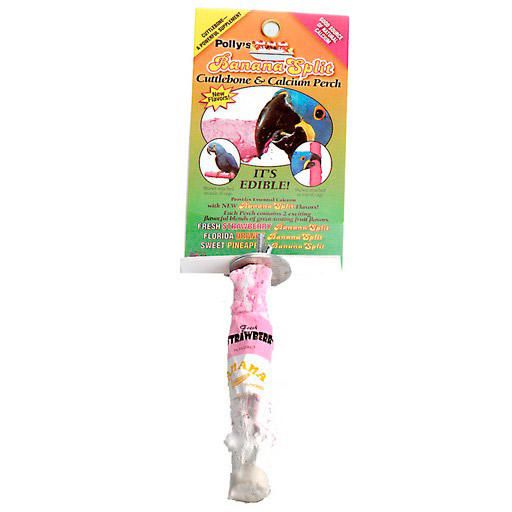 Perchoir Cuttlebone + Calcium Saveur Fruit (Petit)