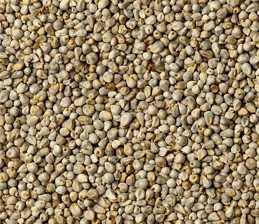 Millet Vert 1Kg