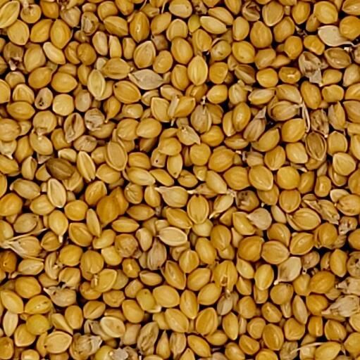 Millet Allemand 1kg