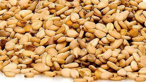 Graines de Sesame 250g