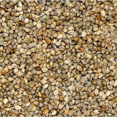 Birds go Wild Millet Japonais 1kg