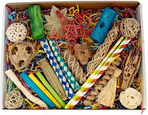 Boîte de jeu de recherche de nourriture