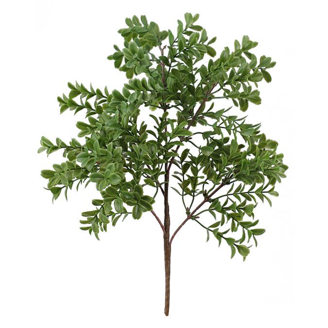 Bouquet de Buis vert en plastique 14''