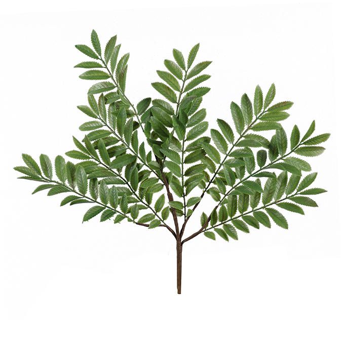 Bouquet de Ruscus vert en plastique 16''