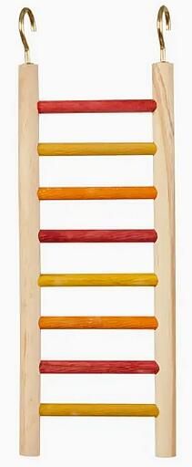 Échelle Pour Perruches