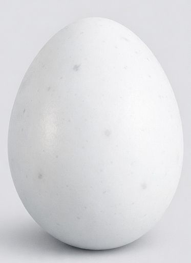 Oeufs factices Pigeon/Gris D'Afrique/Amazon