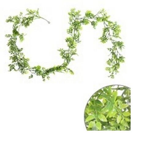 Guirlande feuilles de Buis