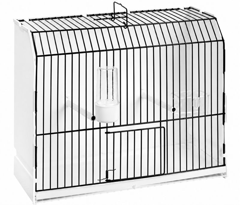 Cage d'Exposition devant Noir pour Canaris, Pinsons Cage d'Exposition devant Noir pour Canaris, Pinsons