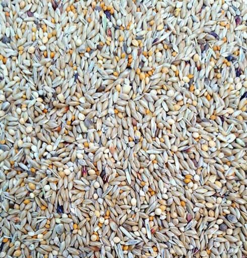 Pinson Australien Econo 18kg