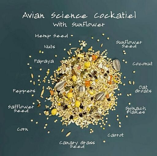 Volkmans Avian Science Cockatiel (4Lb)