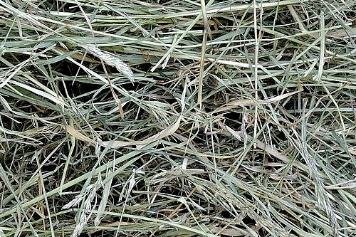 Matériel pour nid, Herbe Séchée 100g