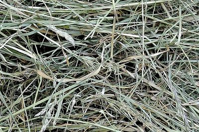 Matériel pour nid, Herbe Séchée 100g