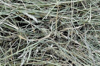 Matériel pour nid, Herbe Séché, 500g