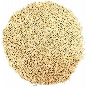 Bird's go Wild Millet Blanc 2Kg