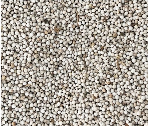 Birds go Wild Perilla Blanc 1Kg