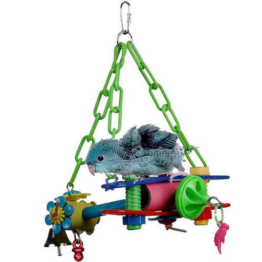 Parrot Express