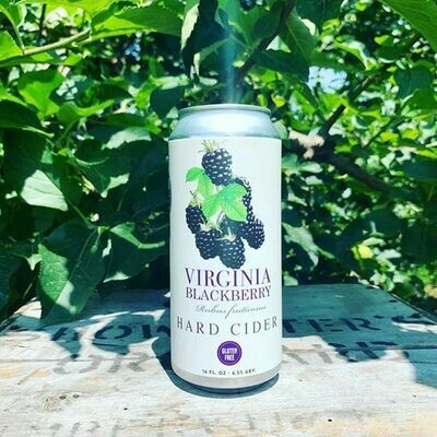 Virginia Blackberry 4-Pack of 12-Ounce Cans