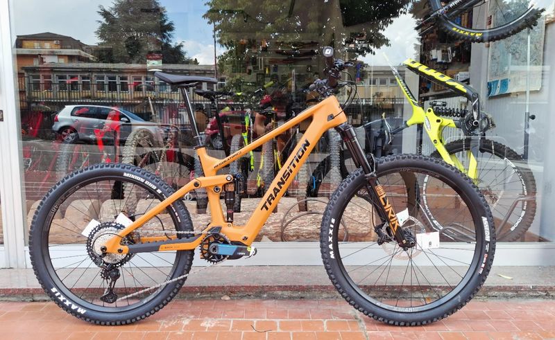 Transition Regulator - Madrone Gold