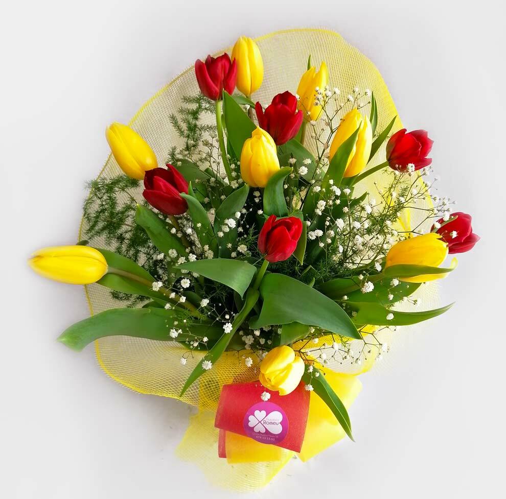Bouquet Tulipa