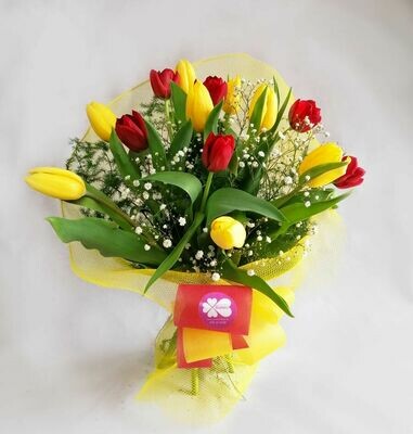 Bouquet Tulipa