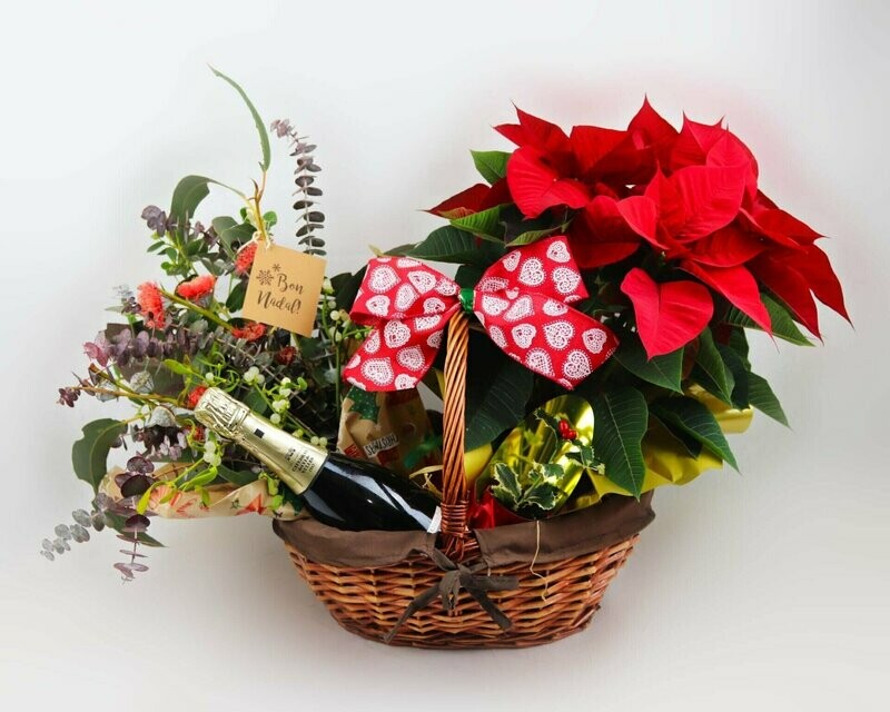 Lote Navidad Premium