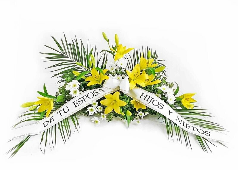 Centro basic liliums