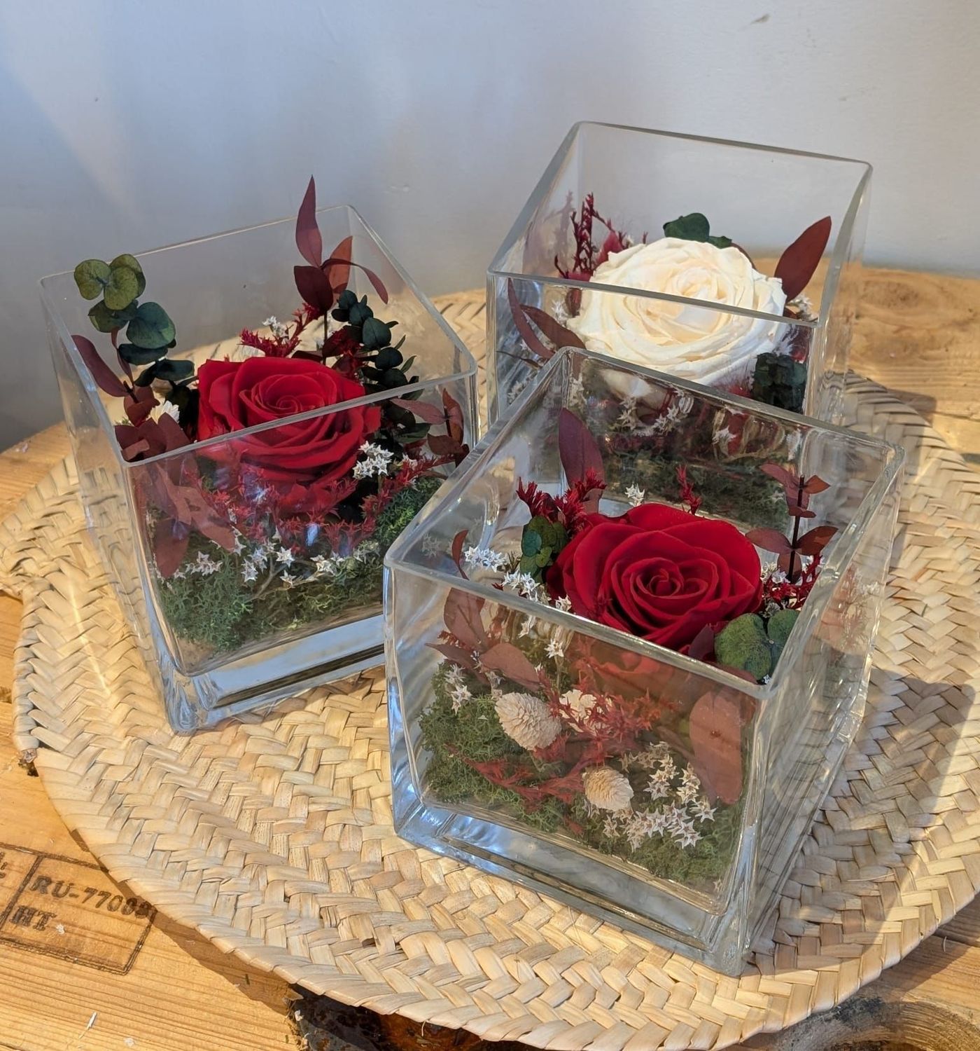 Rosa preservada en peixera