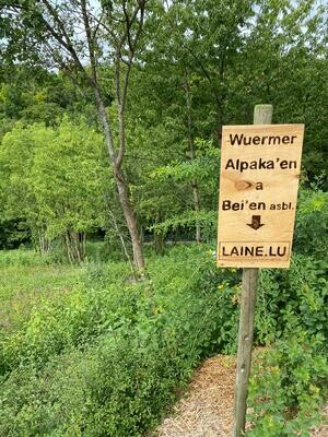 Parrainer un arbre mellifère