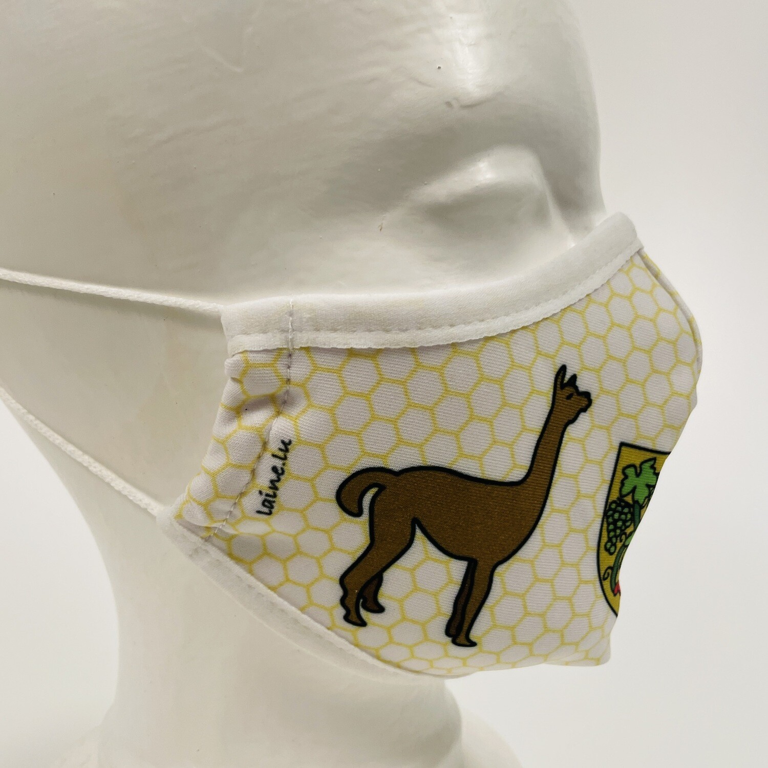 Masque facial réutilisable