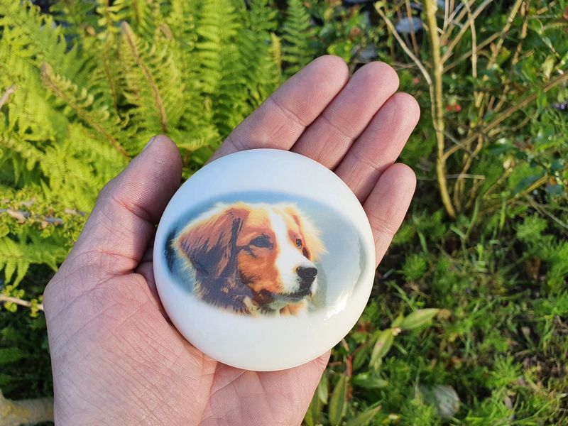 Urnschaal dierenurn Hond - mini foto-urn -  urnschaal mini leverbaar in Ø 10 cm of  Ø 15 cm met persoonlijke foto