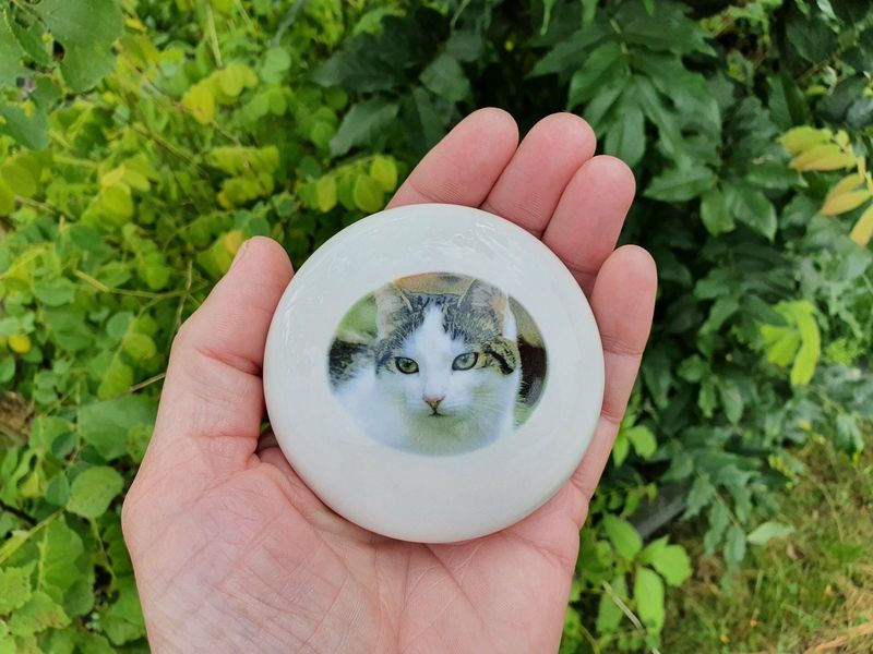 Urnschaal dierenurn Kat - mini foto-urn -  urnschaal mini leverbaar in Ø 10 cm of  Ø 15 cm met persoonlijke foto