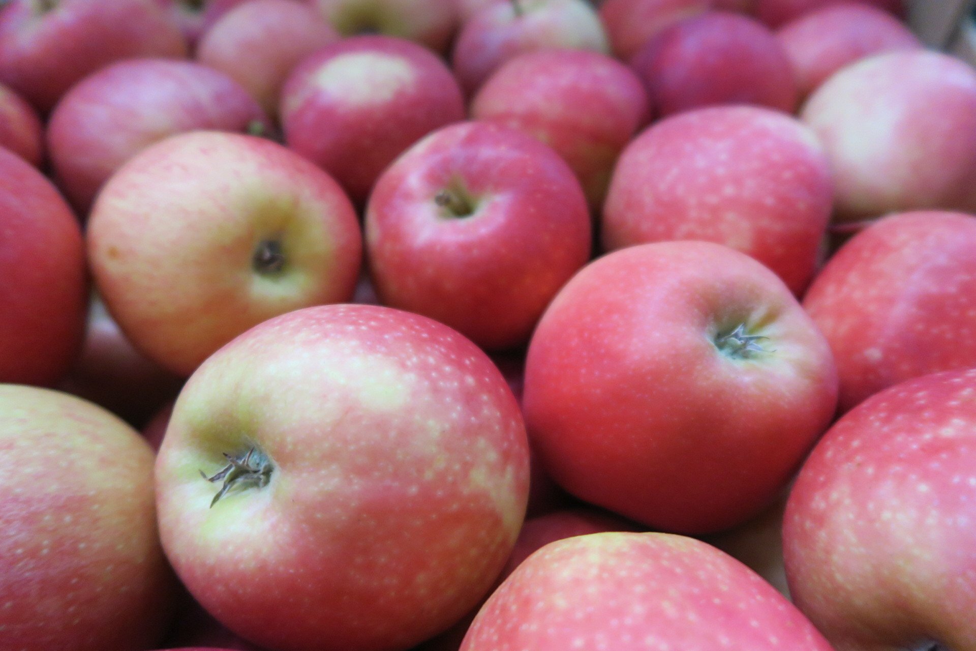 Pomme STORY BIO - 1KG