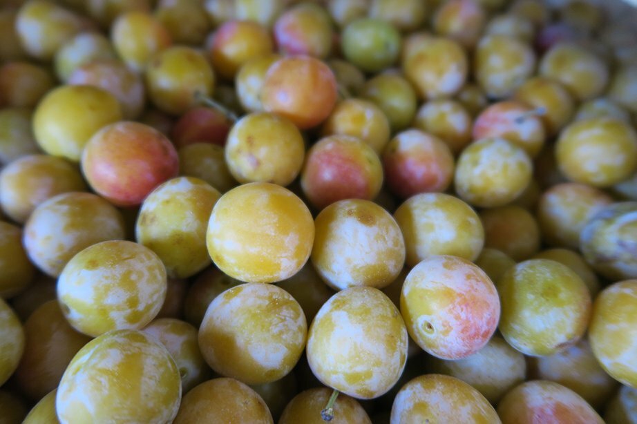 Mirabelle BIO - 1KG