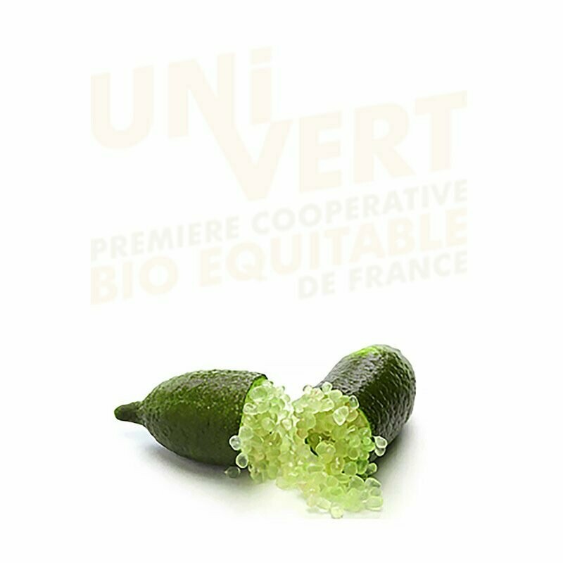 Citron Caviar Corse BIO  - 2 pièces