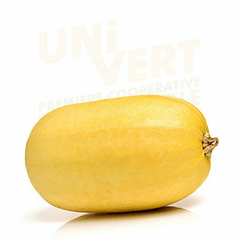 Courge Spaghetti BIO la pièce