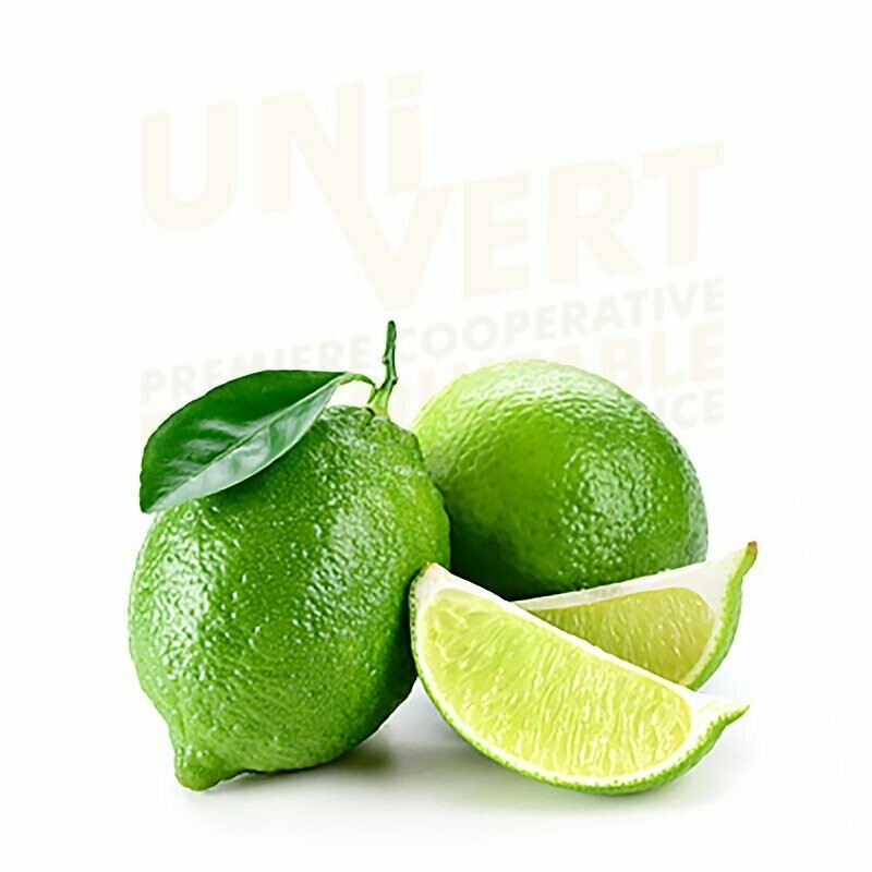 Citron lime Corse BIO - 500gr