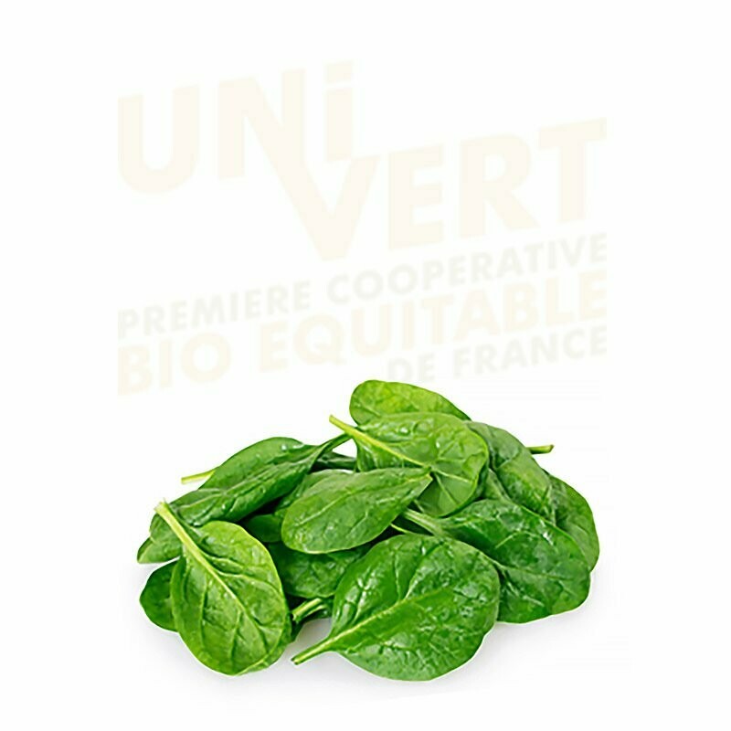 Jeunes Pousses d'épinard BIO - 500 gr