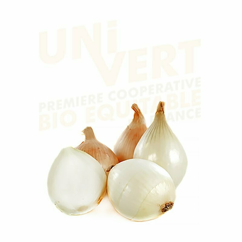 Oignon Rose BIO 500Gr