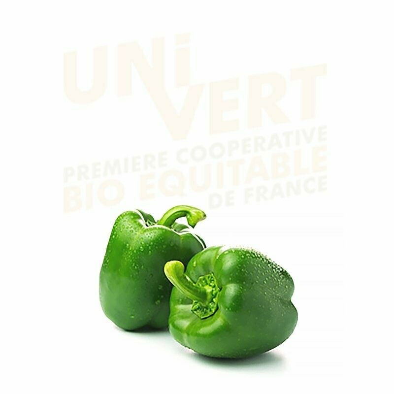 Poivron vert  - 1Kg