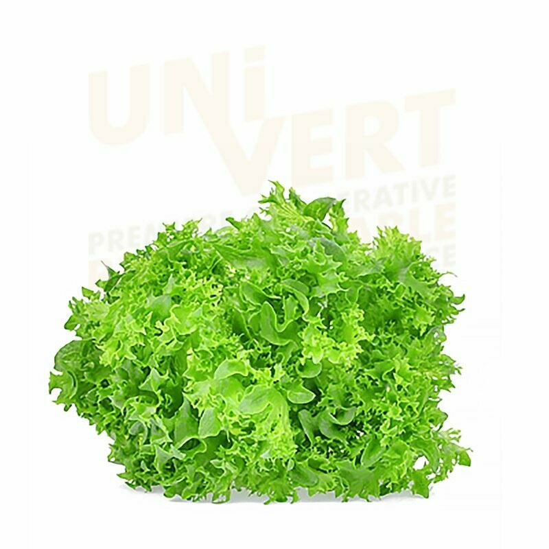 Salade Feuille de chêne blonde  BIO - la pièce