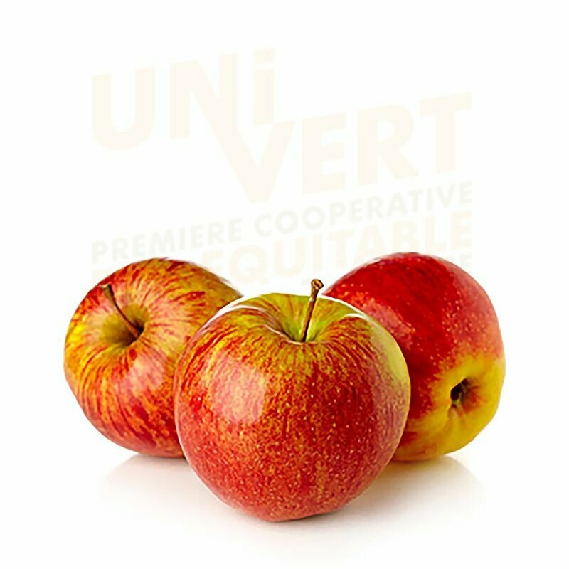 Pomme Delbart  BIO - 1KG