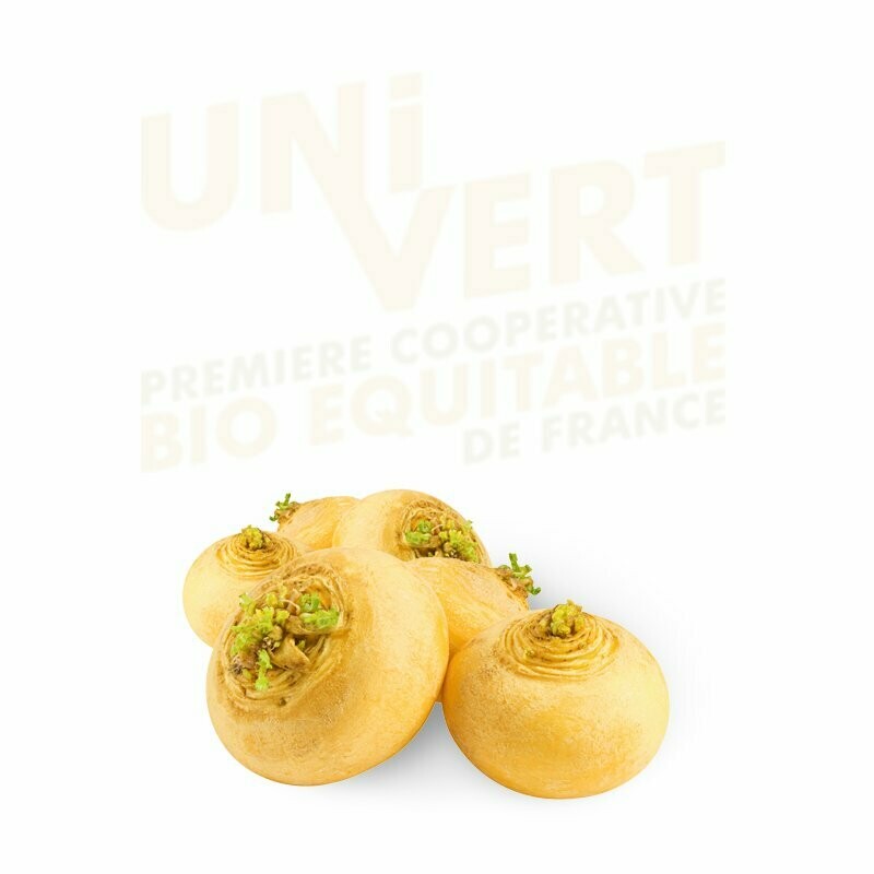 Navet rond Boule d'Or BIO - 500gr