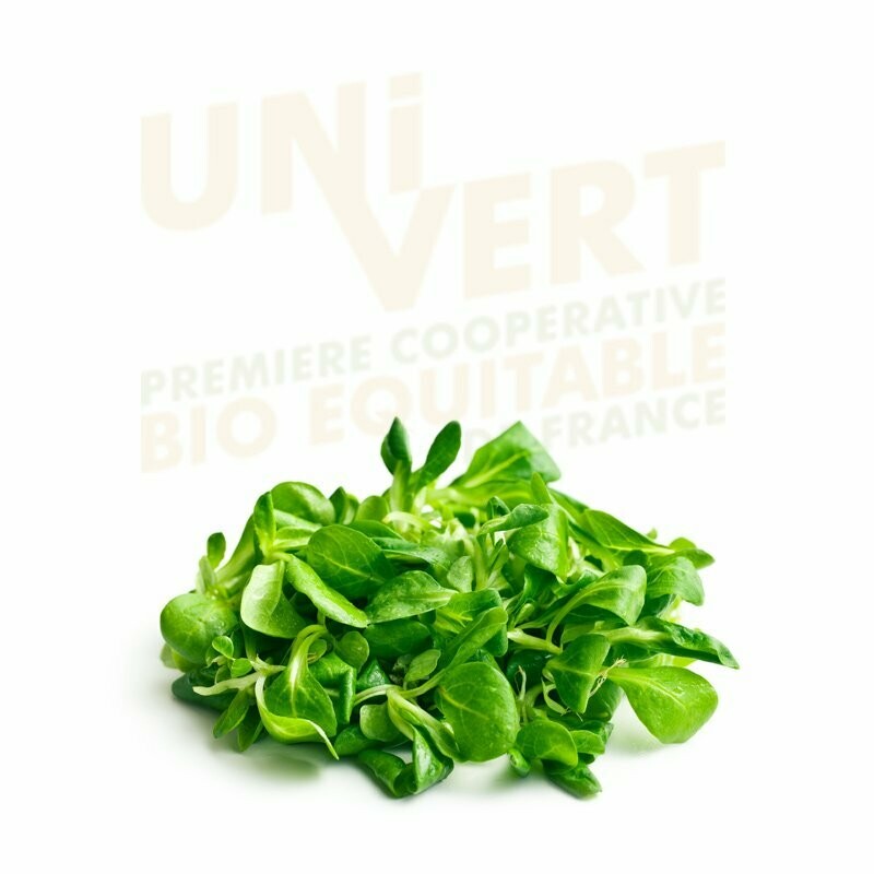 Mâche BIO- 500gr
