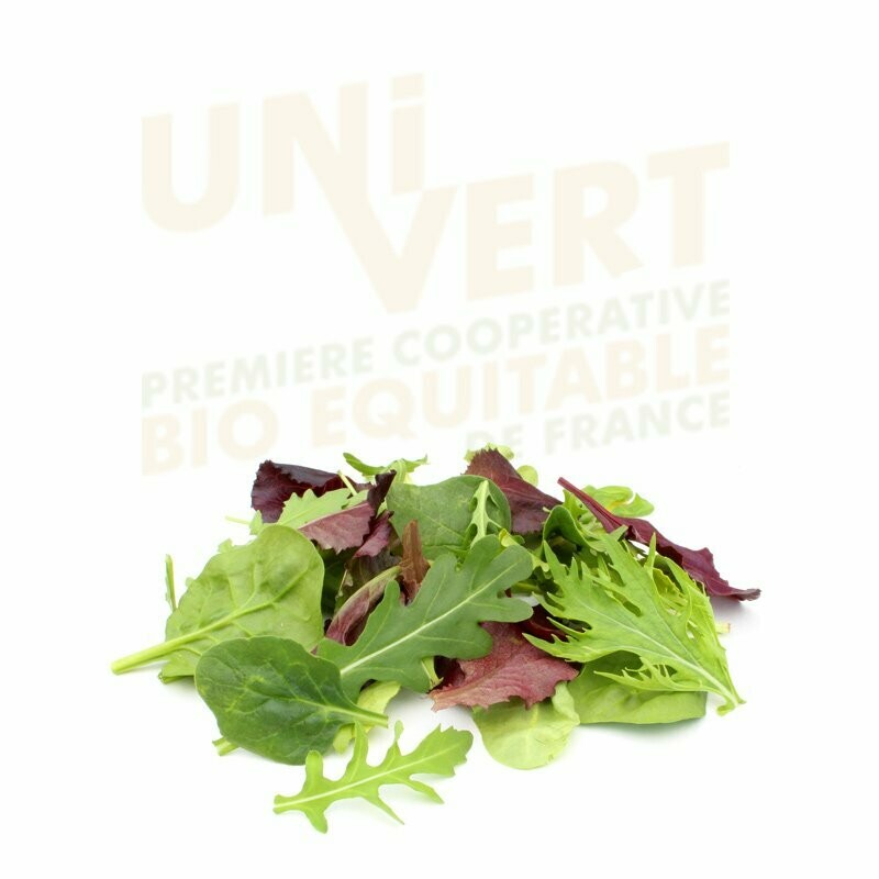 Jeunes pousses mesclun BIO - 500gr