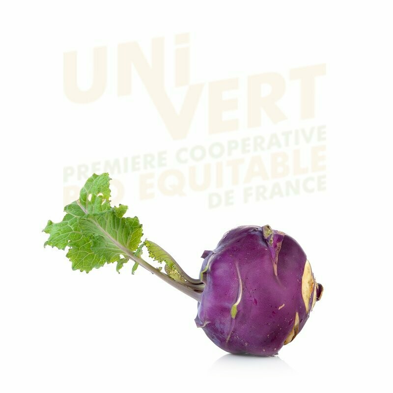 Chou Rave Violet BIO - la pièce